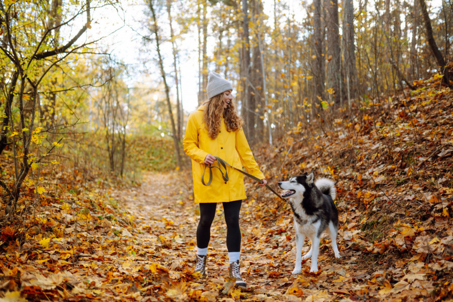 Pazite na 4 stvari koje mogu da otruju vašeg ljubimca tokom novembarskih šetnji