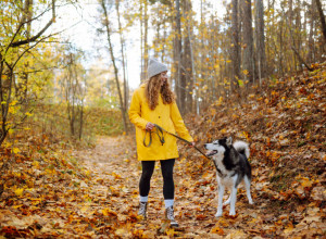 Pazite na 4 stvari koje mogu da otruju vašeg ljubimca tokom novembarskih šetnji