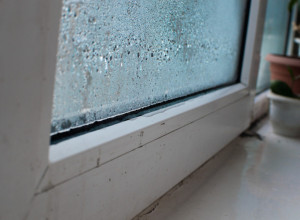 Ovih 7 saveta pomoći će vam da se zauvek rešite VLAGE na prozorima