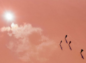 OPTIČKA ILUZIJA otkriva vašu skrivenu ličnost koja dominira: Šta prvo vidite - ljude, vodu ili nebo?