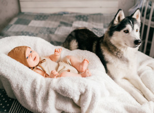 Mama je ostavila BLIZANCE sa dva PSA: Ljudi zaprepašćeno gledaju VIDEO i ne veruju svojim očima!