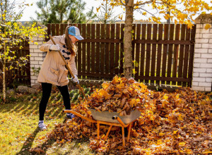 Zašto sunčani novembar nije dobar za vašu baštu