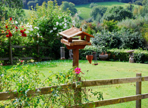 BRZI TEST - imate li oko za detalje? Pronađite BELU MAČKU za 9 sekundi i dokažite da ste NAJBOLJI