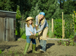 ŠTETOČINE vam tokom hladnih dana ne daju mira u bašti: Ovaj jednostavan TRIK provereno deluje - zabodite ovo u zemlju!